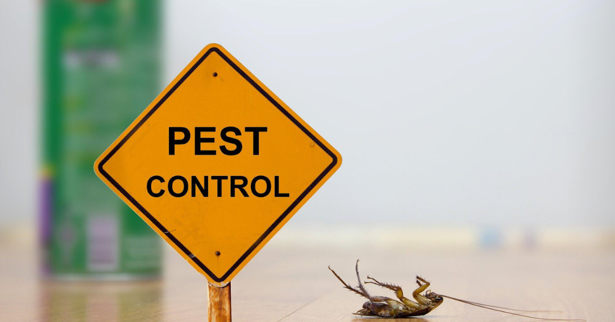 How 24-Hour Pest Control Can Handle Any Infestation