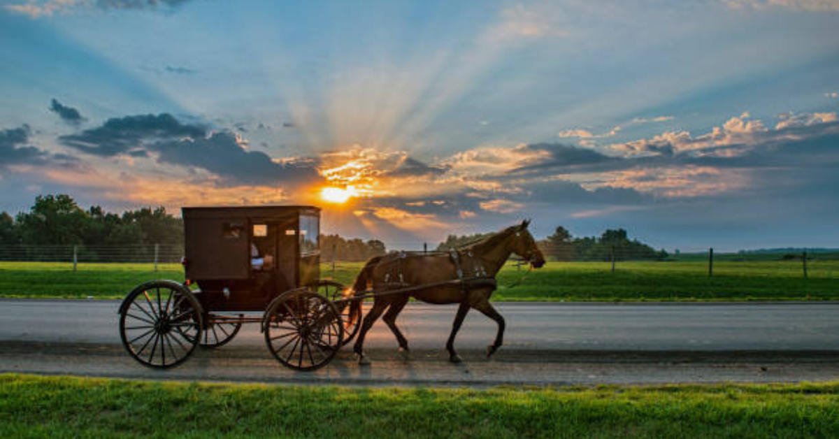 Amish Tours