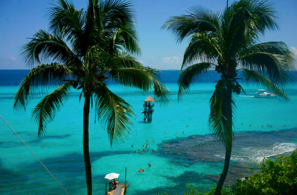 Exploring the Wonders of a Snorkeling Tour in Isla Mujeres