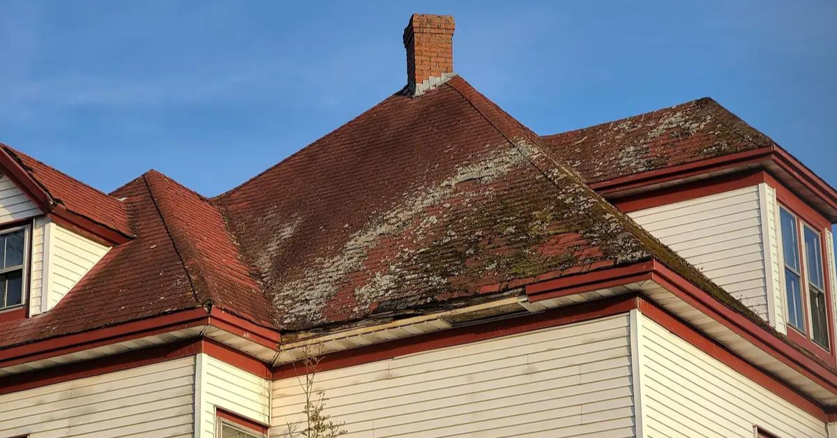 The Cost of Ignoring a Moldy Roof: Why Testing is Worth the Investment