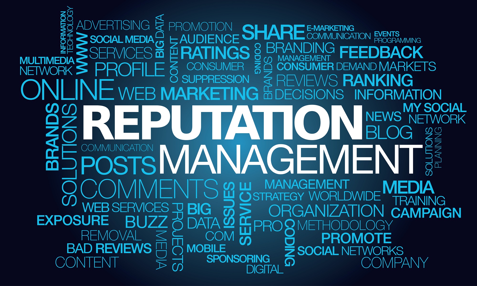 Reputation Management Company