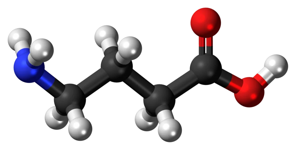 Gamma Aminobutyric Acid