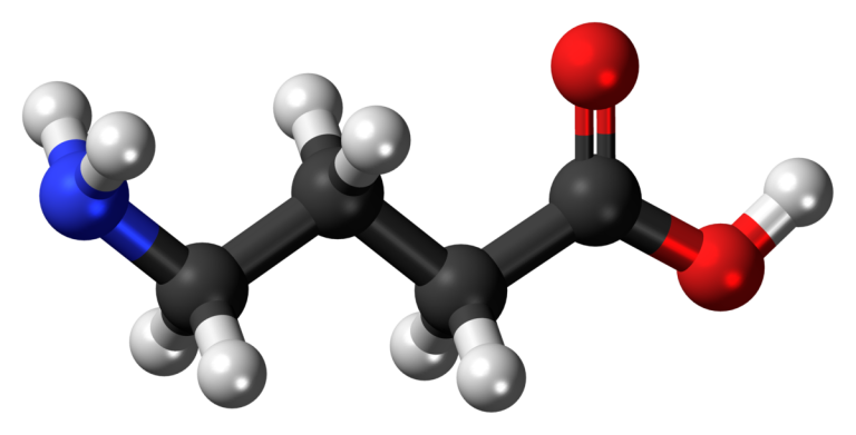 Gamma Aminobutyric Acid