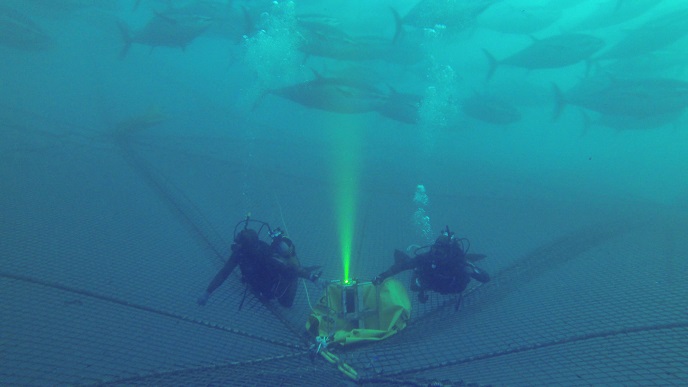 underwater inspection camera