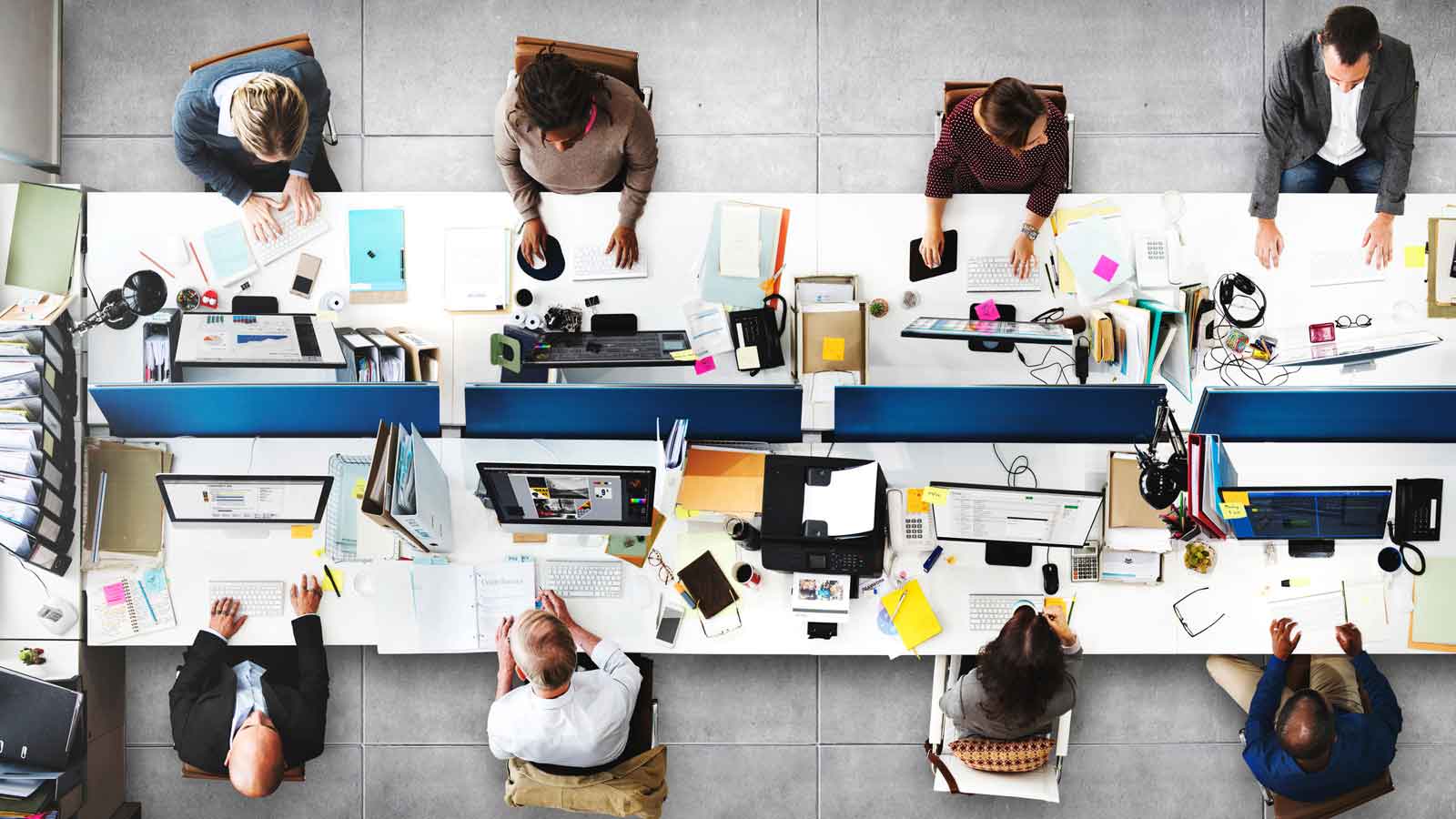 white label Microsoft Ads agency