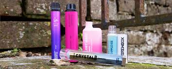 Which High-Puff Disposable Fits You Best?