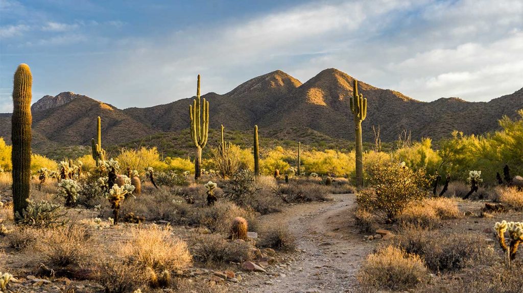 rehab centers in Arizona