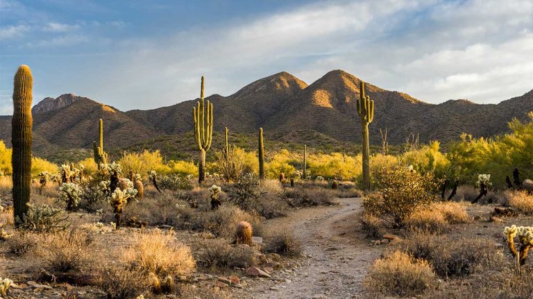 rehab centers in Arizona