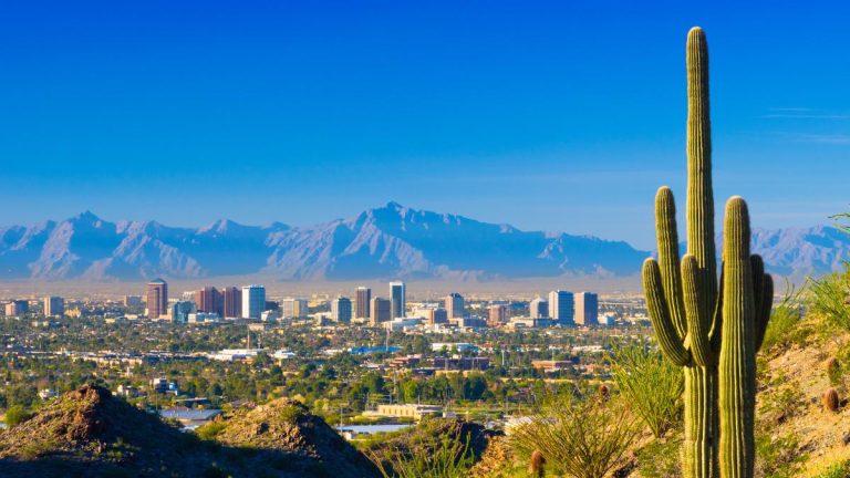 seo company in arizona